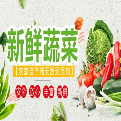 清新區食材批發與蔬菜配送服務報價指南 大型市場直供，食堂送菜無憂